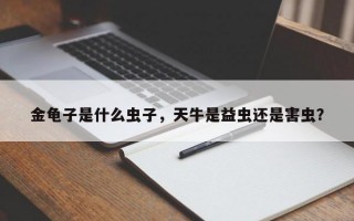 金龜子是什么蟲子，天牛是益蟲還是害蟲？