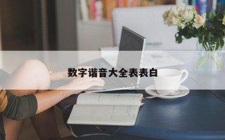 數字諧音大全表表白